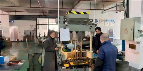 Global Customer Factory Visits | On-Site Inspection And Cooperation Communication